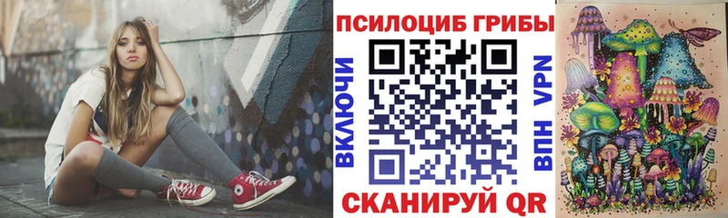 Галлюциногенные грибы Psilocybe  маркетплейс официальный сайт  Духовщина  где купить наркоту  гидра ТОР 